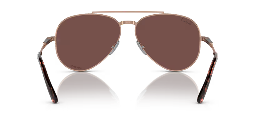 Ray-Ban 0RB8225