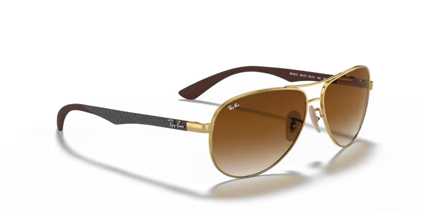 Ray-Ban 0RB8313