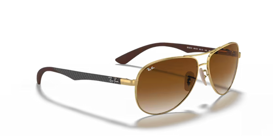 Ray-Ban 0RB8313