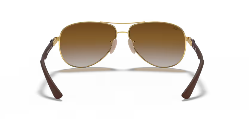 Ray-Ban 0RB8313