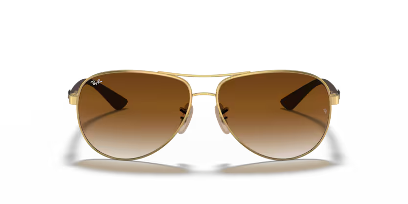 Ray-Ban 0RB8313