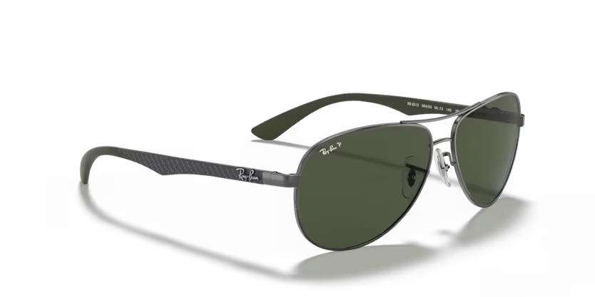Ray-Ban 0RB8313