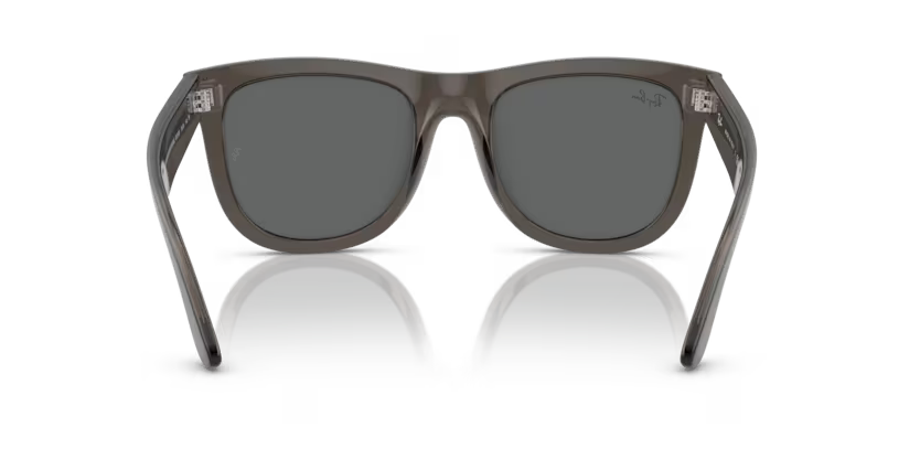 Ray-Ban 0RBR0502S