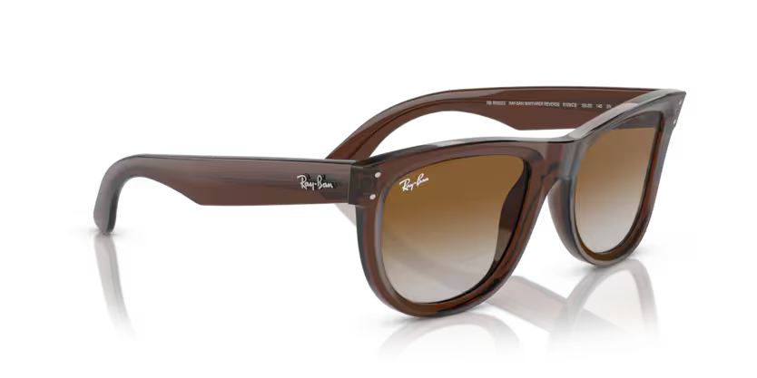 Ray-Ban 0RBR0502S