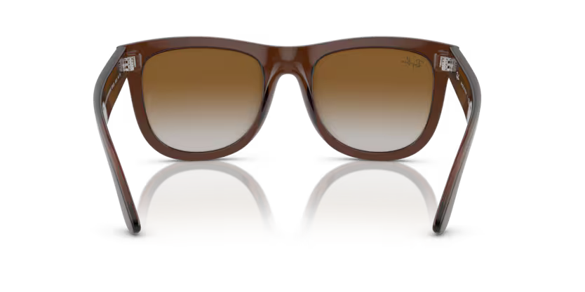 Ray-Ban 0RBR0502S
