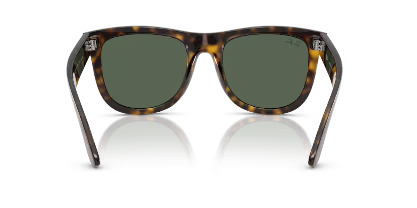 Ray-Ban 0RBR0502S