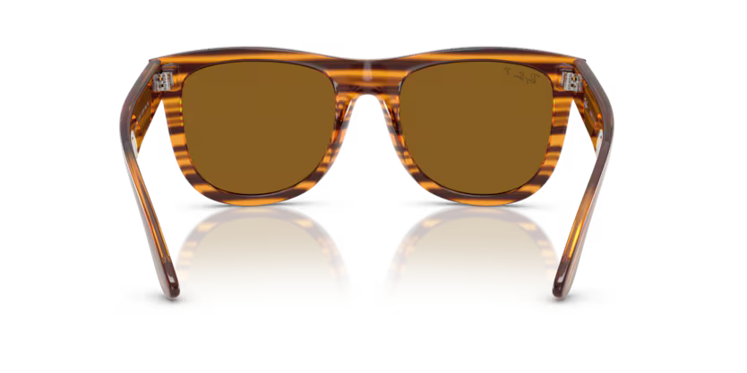 Ray-Ban 0RBR0502S