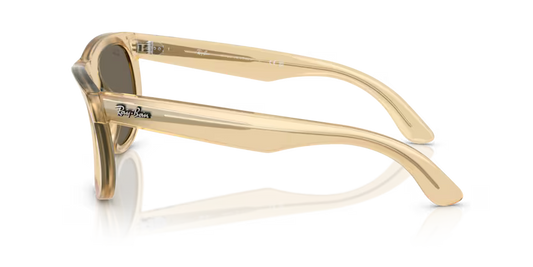 Ray-Ban 0RBR0502S