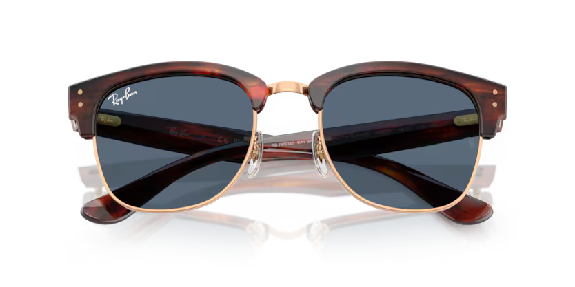 Ray-Ban 0RBR0504S