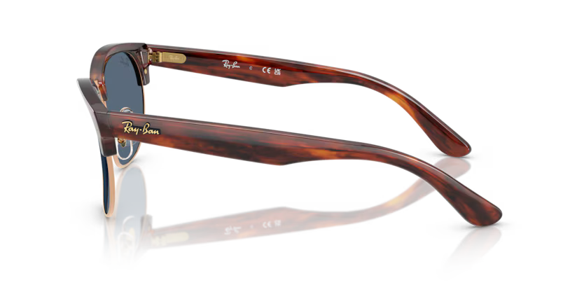 Ray-Ban 0RBR0504S