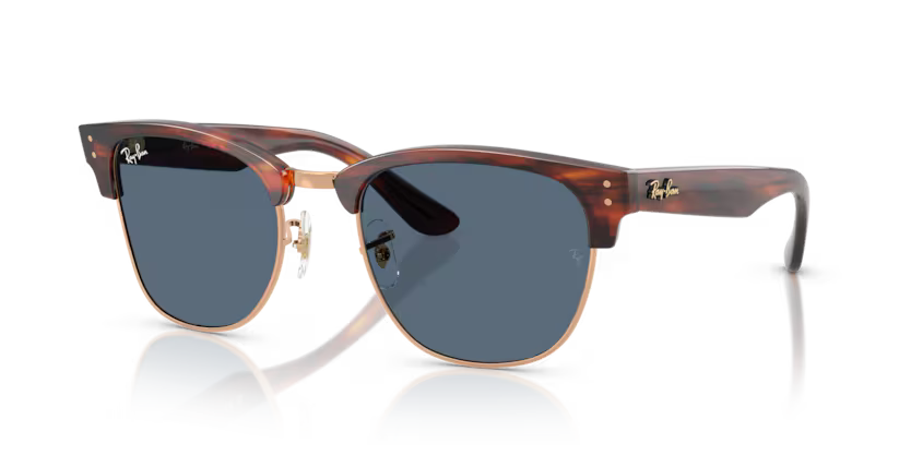 Ray-Ban 0RBR0504S