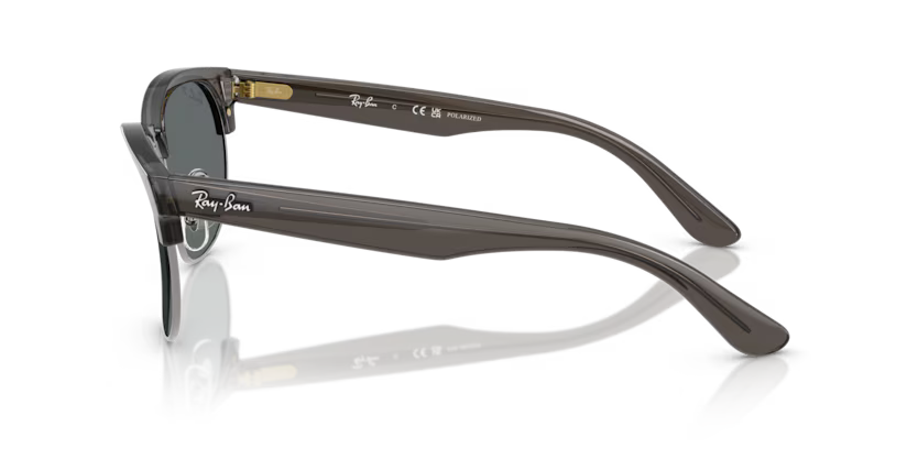 Ray-Ban 0RBR0504S