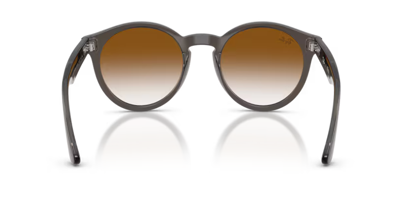 Ray-Ban 0RBR0505S