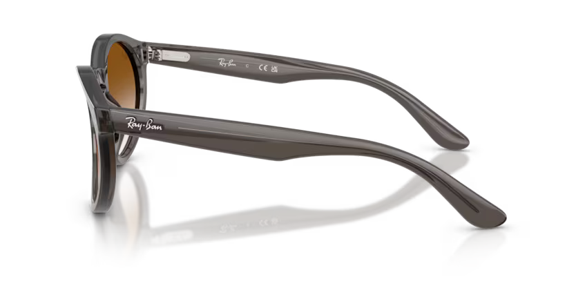 Ray-Ban 0RBR0505S