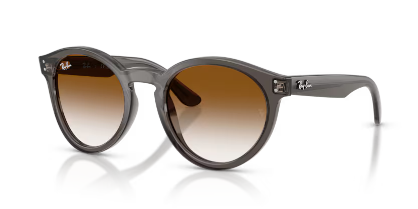 Ray-Ban 0RBR0505S
