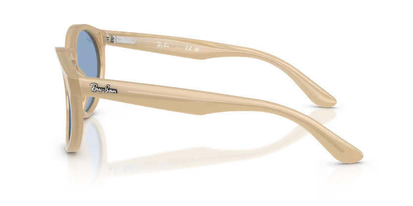 Ray-Ban 0RBR0505S