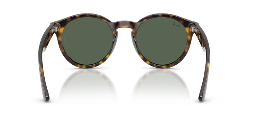 Ray-Ban 0RBR0505S