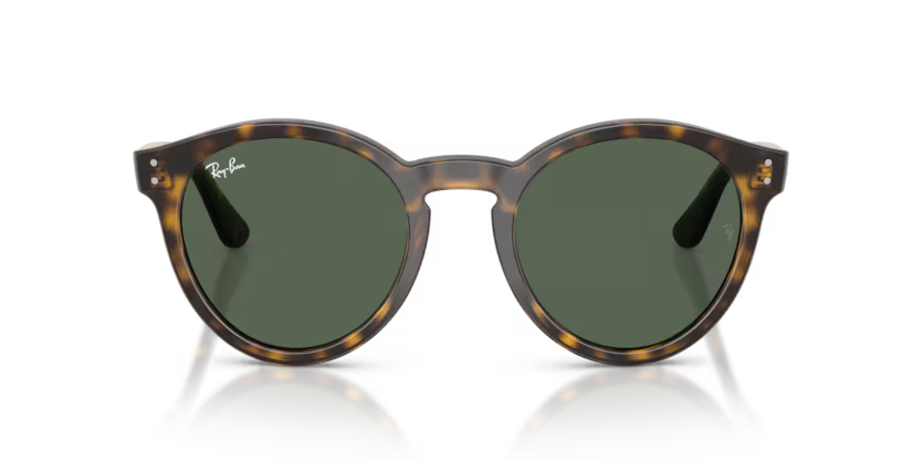 Ray-Ban 0RBR0505S