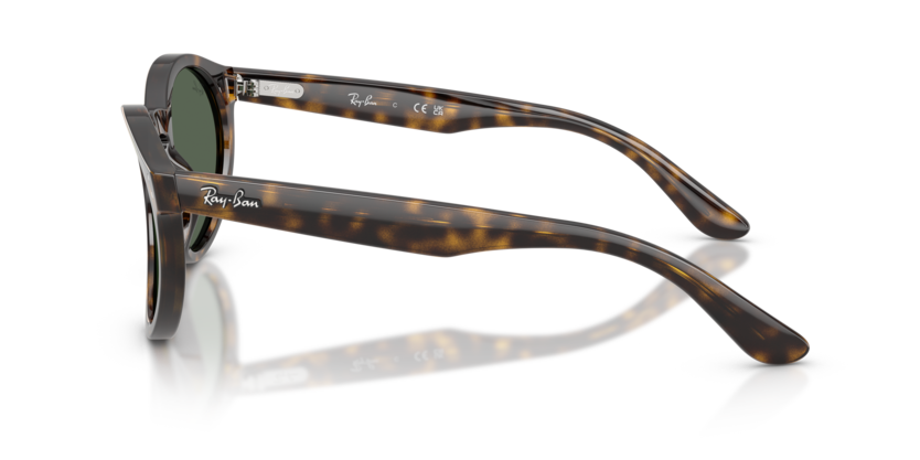 Ray-Ban 0RBR0505S