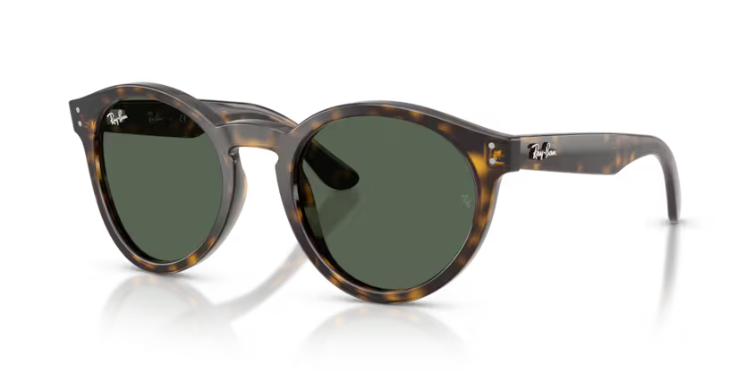 Ray-Ban 0RBR0505S