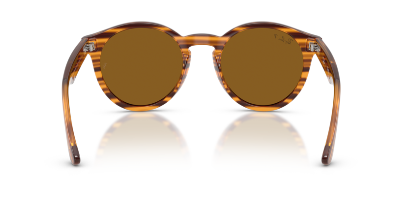 Ray-Ban 0RBR0505S