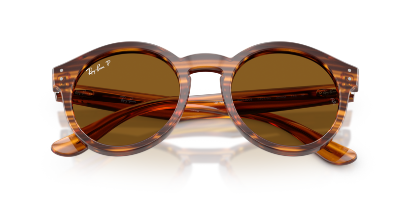 Ray-Ban 0RBR0505S