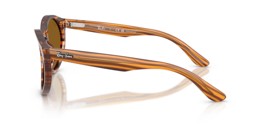 Ray-Ban 0RBR0505S