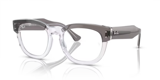 RAY-BAN VISTA 0RX0298V 48