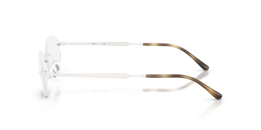RAY-BAN 0RX3767V