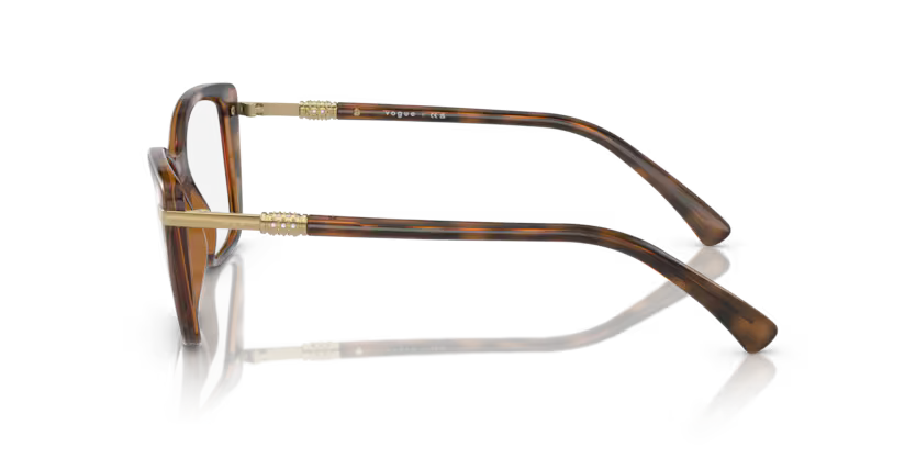 Vogue 0VO5487B