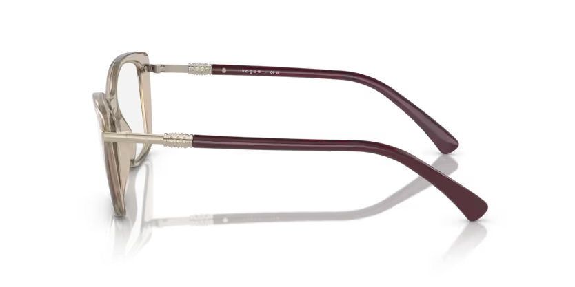 Vogue 0VO5487B